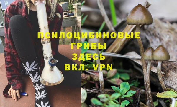 марки lsd Алексеевка