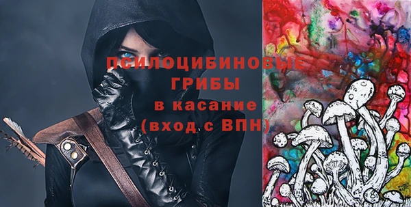 винт Алзамай