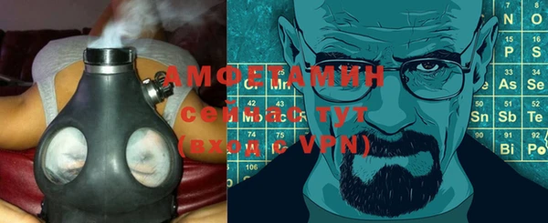 винт Алзамай