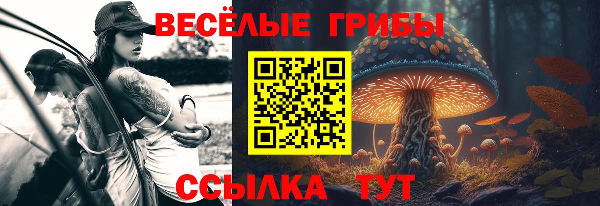 Шебекино  Галлюциногенные грибы MAGIC MUSHROOMS  купить наркоту  Вход с VPN 