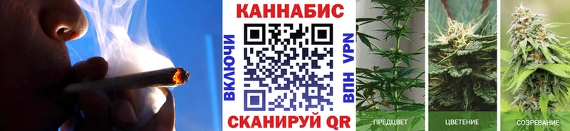 где купить наркоту  Шебекино  Марихуана VHQ 
